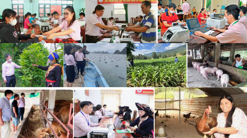 “Ý Đảng” gặp “lòng Dân”, đẩy băng băng “con thuyền” tín dụng chính sách