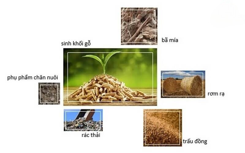 Cần nghiên cứu, ứng dụng và phát triển năng lượng sinh khối đi đối với phát triển kinh tế tuần hoàn ở nông thôn Việt Nam