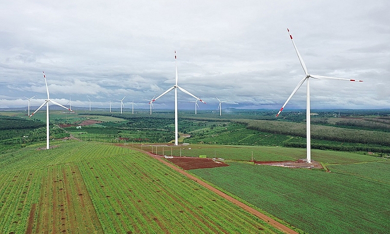 Phát triển năng lượng điện mặt trời và điện gió - hướng đi cho ngành năng lượng xanh
