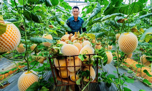 Vốn chính sách giúp Bắc Giang giảm nghèo bền vững