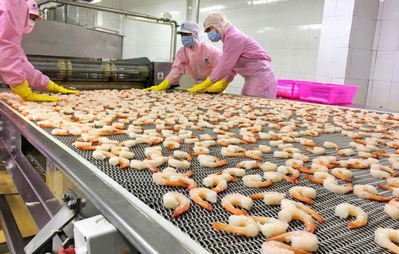 Shrimp exports to Canada enjoy highest increase in CPTPP bloc
