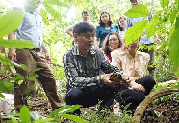 Tens of wild animals released back to nature