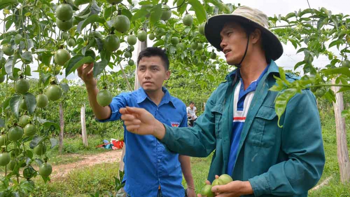 Over 20 of agricultural products to apply high technology by 2025