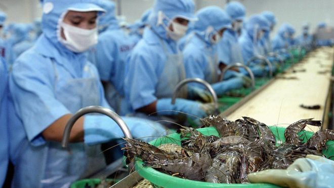 Pangasius and shrimp exports enjoy growth in Chinese market