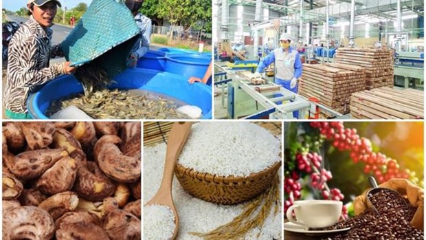 Nine agricltural products record recorded an export turnover of over 1 billion USD