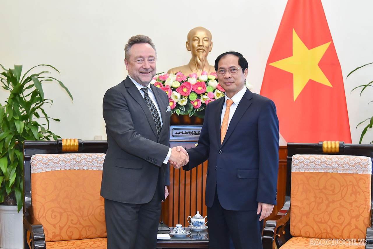 Vietnam-Czech cooperation relationship sees qualitative changes MOFA Minister