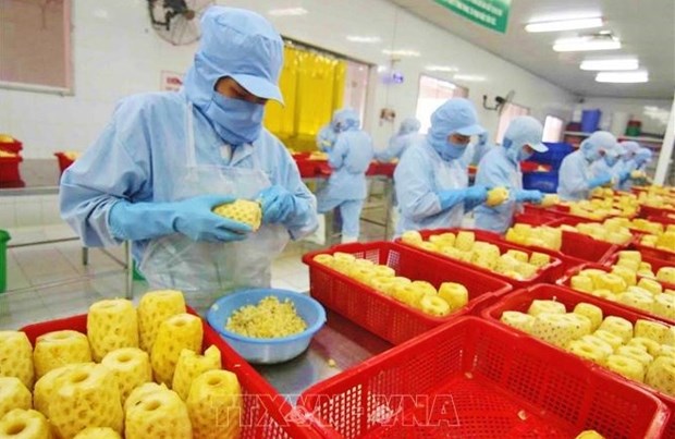 Vietnam eyes global top 10 in agricultural processing