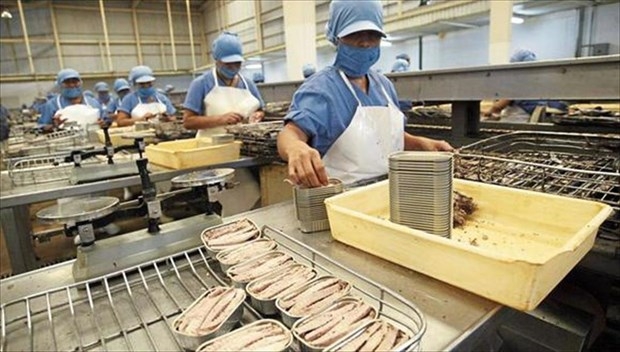 Vietnam’s tuna exports to France reach 350 million USD in January – July period