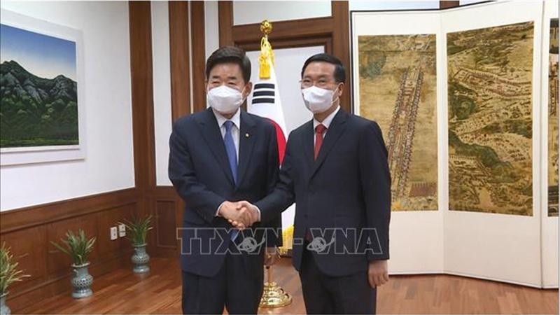 Creating driving force for Vietnam-RoK relations