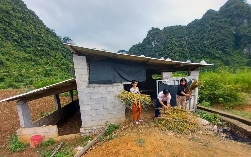 Effective implementation of social policy credit in Cao Bang