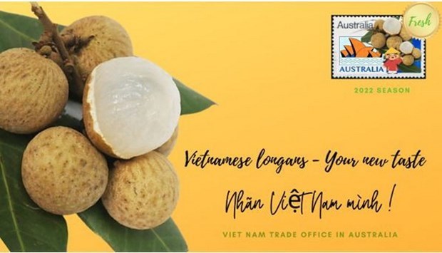 Nearly 10 tonnes of Vietnamese longan exported to Melbourne