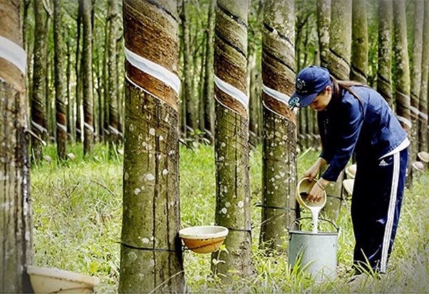 Thailand becomes world’s top rubber exporter