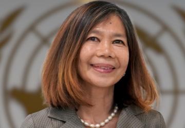 UN ready to support Vietnam in responding to new challenges Coordinator