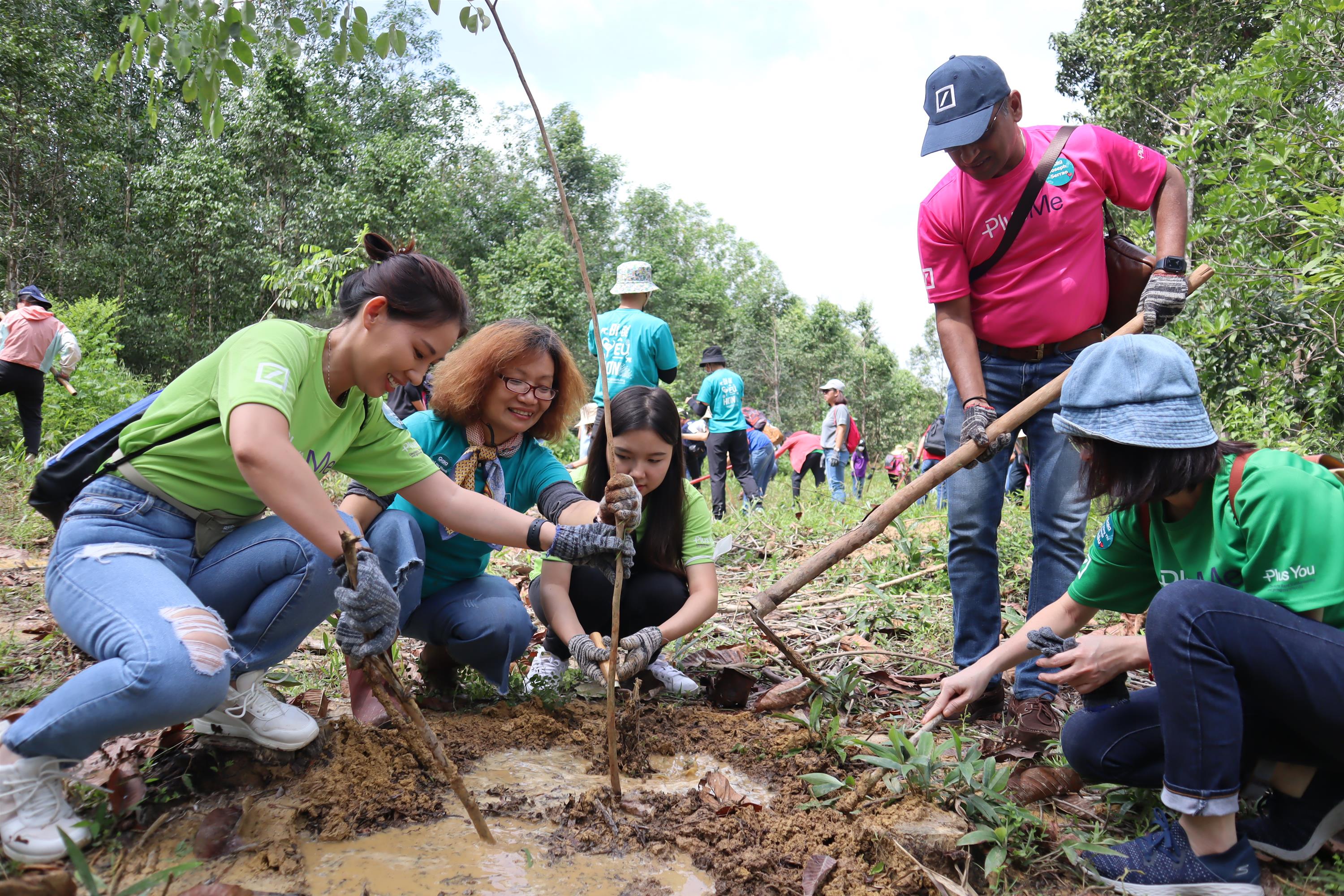 Degraded Dong Nai forest replanted to protect last wild elephants