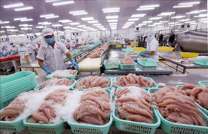 Vietnam’s pangasius exports to Mexico earn US 73 5 million in seven months