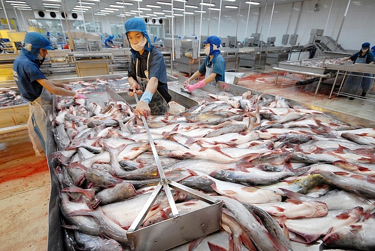 Seafood exports to Belgium rise 74 32 in 7 months
