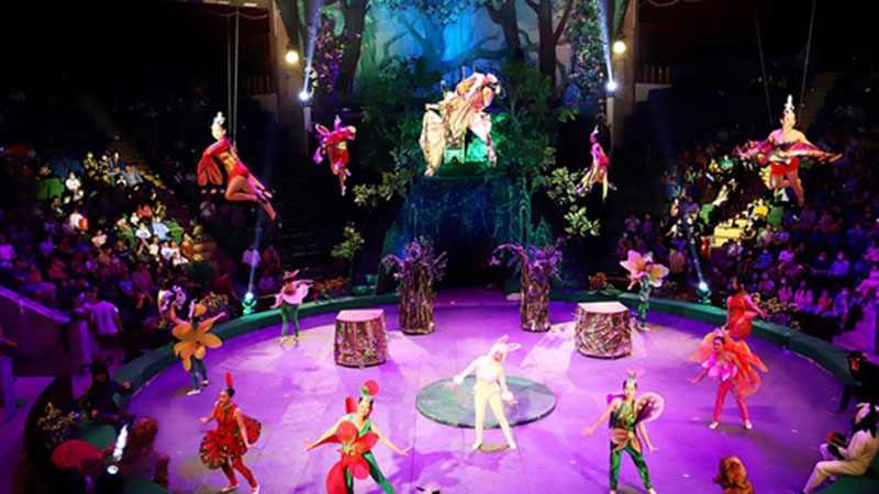 International Circus Festival 2022 to open in Hanoi in November