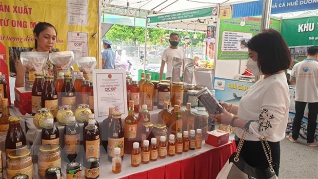 Hanoi’s “One Commune, One Product” OCOP products to be promoted on TikTok