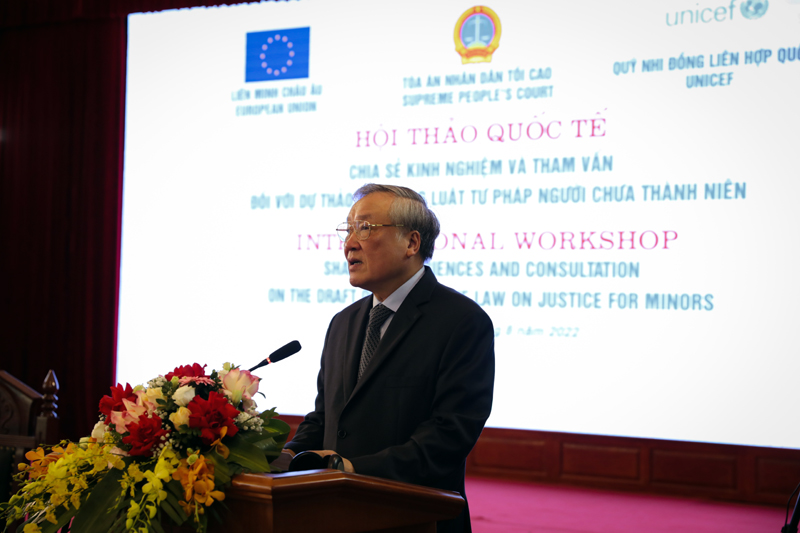 Viet Nam takes significant steps toward a comprehensive child justice law