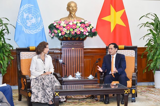 Vietnam looks to UNESCO’s support for World Heritage Committee candidacy FM