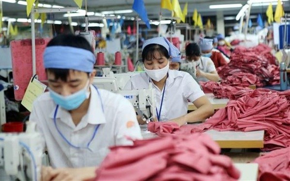 Domestic firms show strong capacity in making use of CPTPP