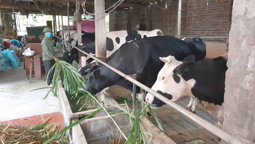 Hanoi targets to reduce poverty rate by 20