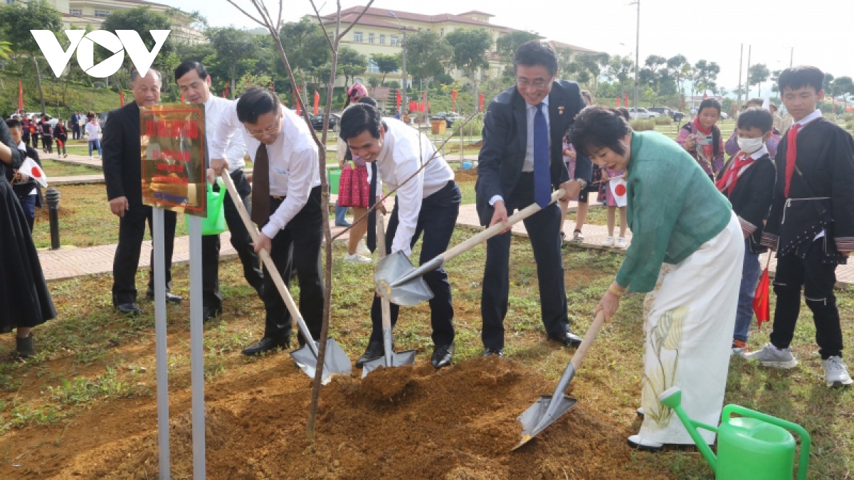 1,000 cherry trees from Japan presented to northern mountainous province