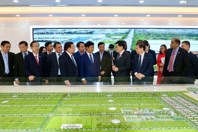 Singaporean Deputy Prime Minister surveys large-scale industrial park in Binh Duong