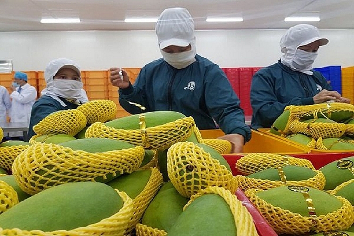 Vietnam’s increasing fruit exports highlighted by Malaysian newspaper