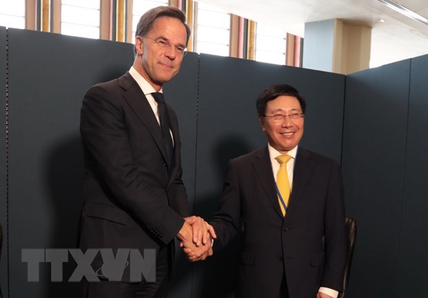 Vietnam boosts cooperation with Netherlands, African countries