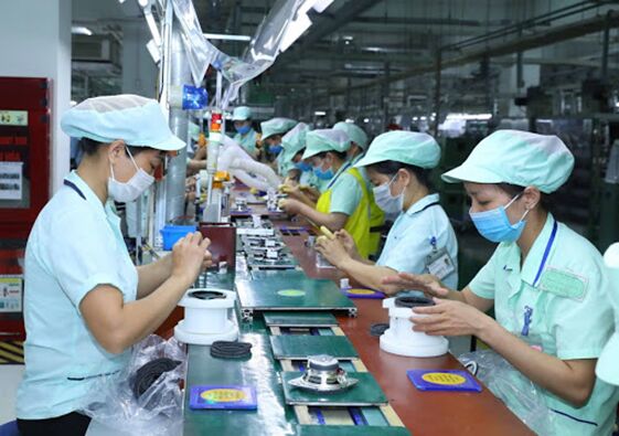 Bac Ninh strives to have over 55 of population participating in online shopping