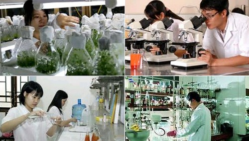 HCMC spends nearly 16,000 billion VND on science and technology activities