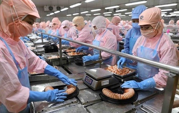Ample room remains for Vietnam-Germany cooperation diplomat
