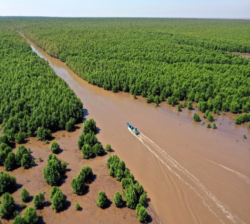 Miss H Hen Nie participates in zoning Ca Mau forest