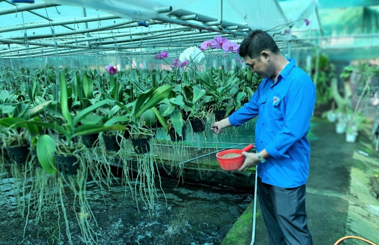 Application of high technology in agricultural production in Can Giuoc