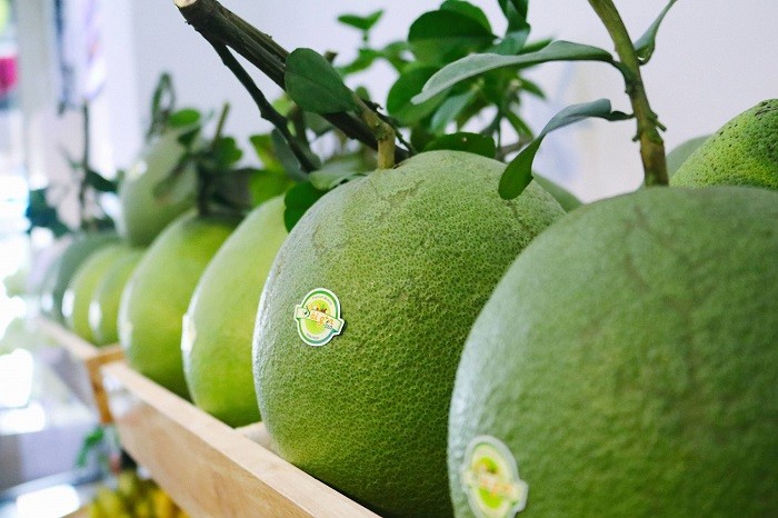 Vietnam’s pomelo officially licensed for export to US