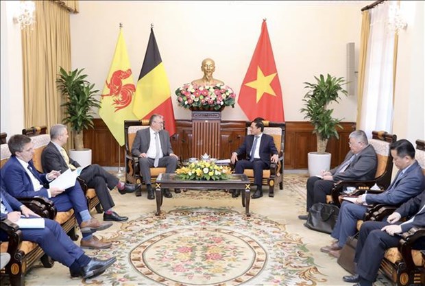 Foreign Minister hails Wallonie-Bruxelles’ support for Vietnam