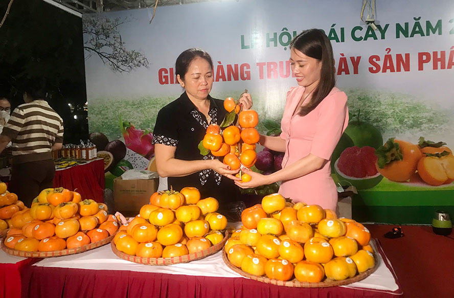 Capital boosts regional linkage for fruits and agricultural products