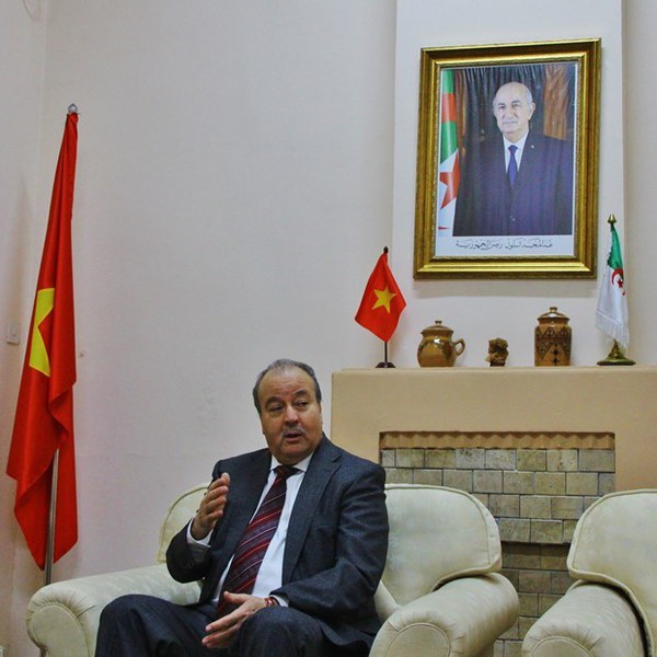 Vietnam, Algeria enjoy sound six-decade ties diplomat