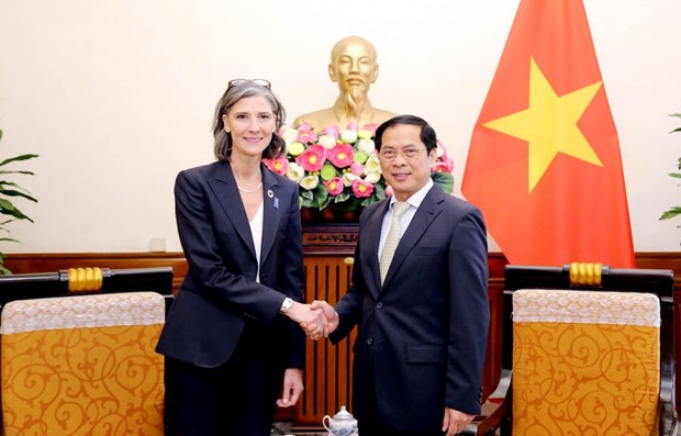 UNDP always attaches importance to cooperation with Vietnam