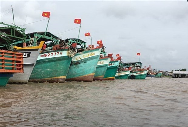 Vietnam making utmost efforts to tackle IUU fishing Deputy PM