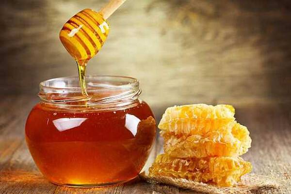 Vietnam’s honey exports gain US 41 million over nine-month period