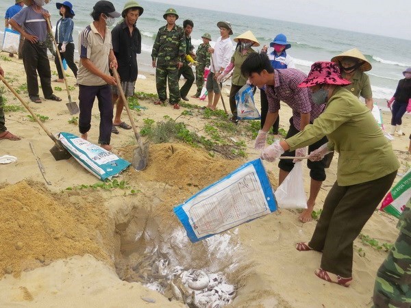 Protecting living environment, people s health - top goal of Vietnam spokesperson