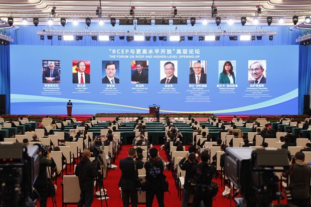 Vietnam urges RECP member economies to fully implement commitment