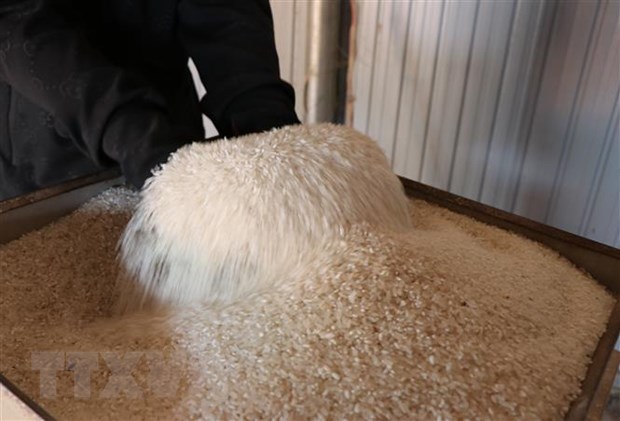 Vietnamese rice contest names winners