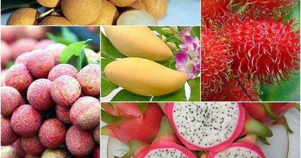 Country targets over 5 billion USD from fruit exports by 2025