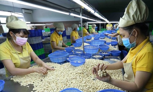 Vietnam’s export revenue to Cambodia rises 25 6