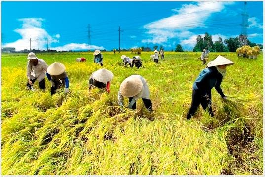 Promoting Vietnamese entrepreneurial spirit in economic recovery and development