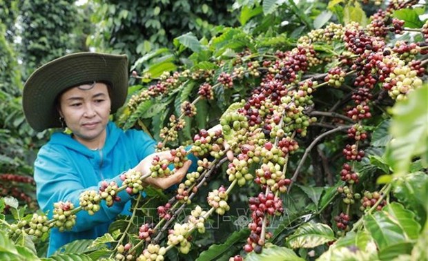 Sectors on course to surpass 2022 export goals