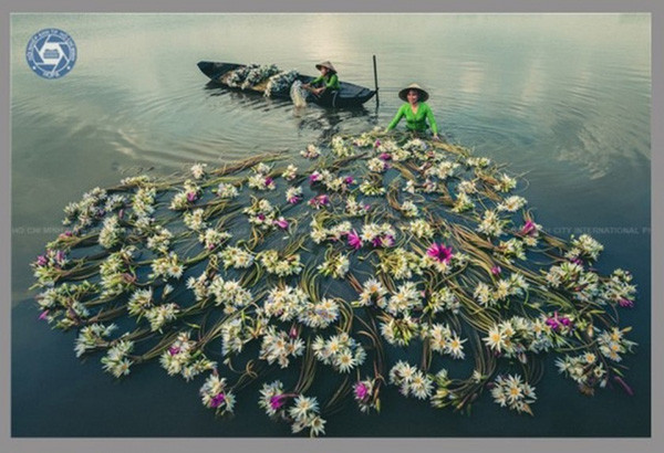 International Photography Festival to take place in HCMC